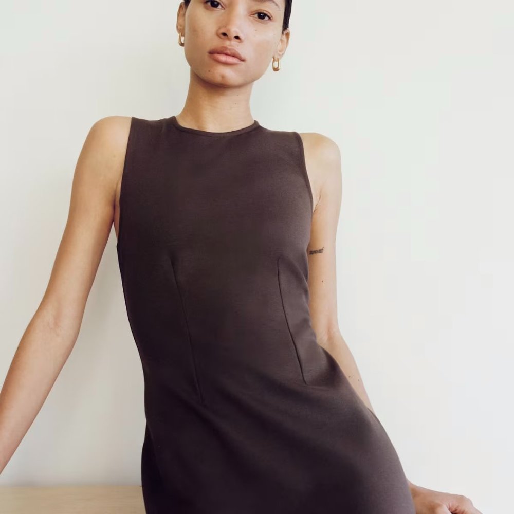 Everlane The Dream Shift Dress, Earth Brown, Medium